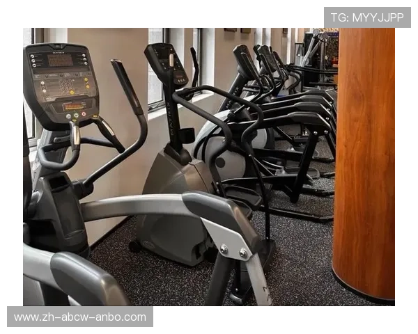 高端智能健身设备市场价格全景图